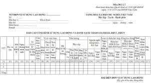 D02-LT Báo cáo tình hình SDLĐ và DS tham gia BHXH, BHYT, BHTN theo Quyết định 1040/QĐ-BHXH